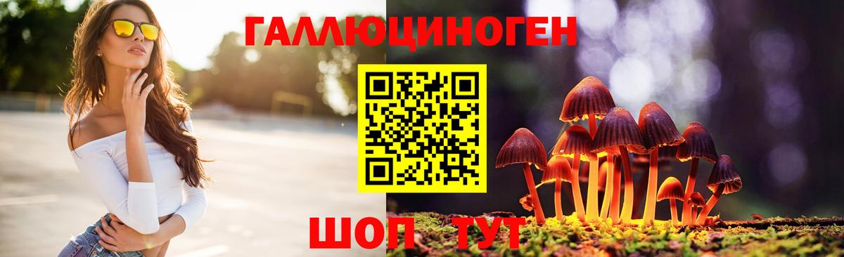 Псилоцибиновые грибы MAGIC MUSHROOMS  как найти закладки  Галлюциногенные грибы MAGIC MUSHROOMS  Борисоглебск  Вход с VPN 
